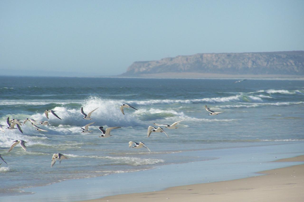 Lodge Draaihoek & Restaurant *