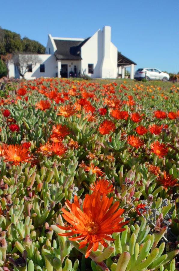 Draaihoek & Restaurant Elands Bay
